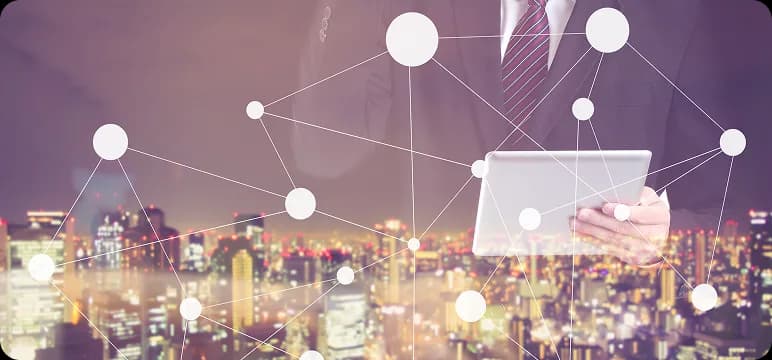 Securing Revenues Through Fraud Detection and Prevention